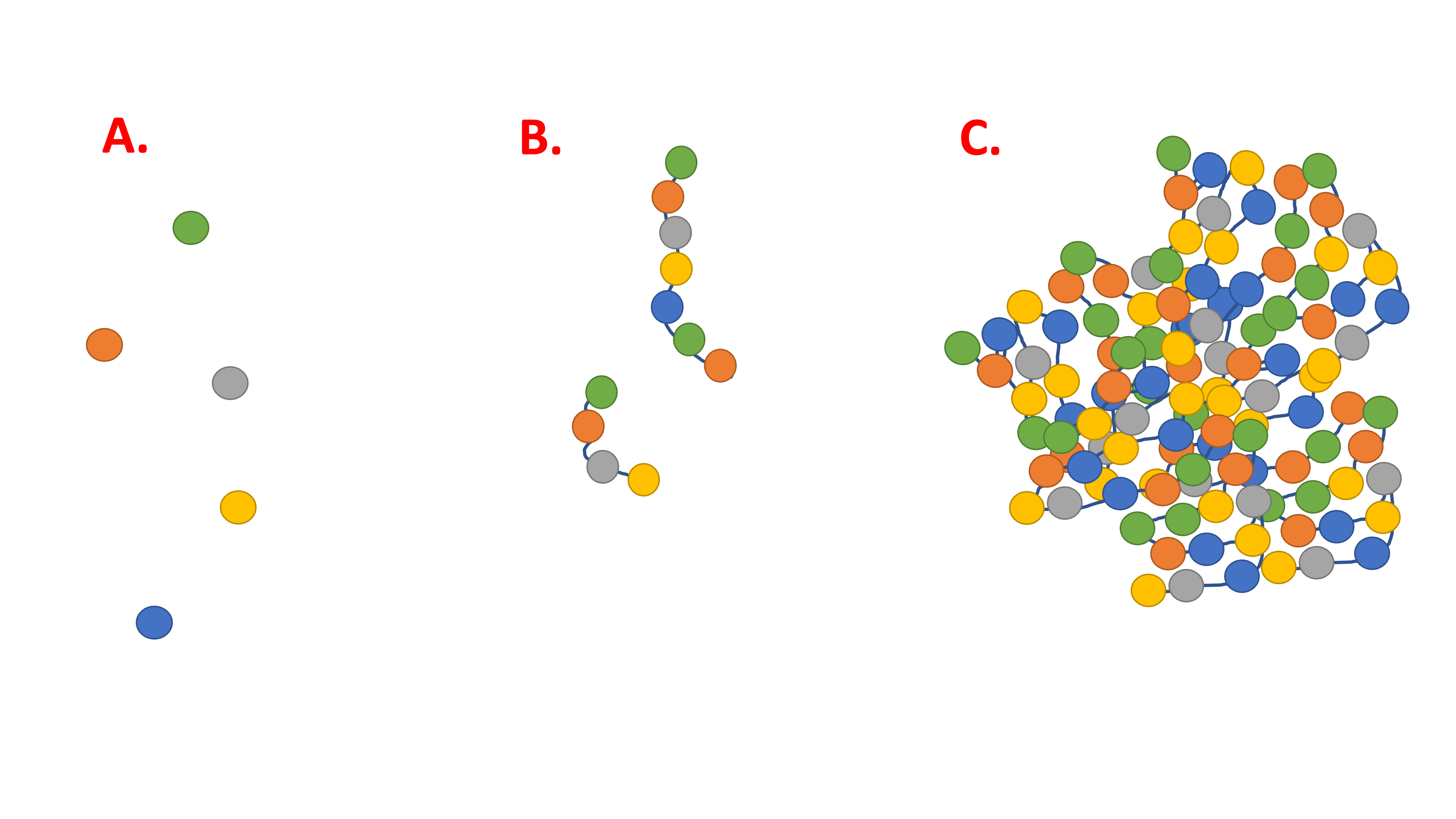 A. Free amino acids. B. Peptides, which are chains of AA. C. An example protein, which is a large molecule formed by a sequence of ~50 to 2000 AA, and takes on a 3-dimensional structure that can include multiple subunits