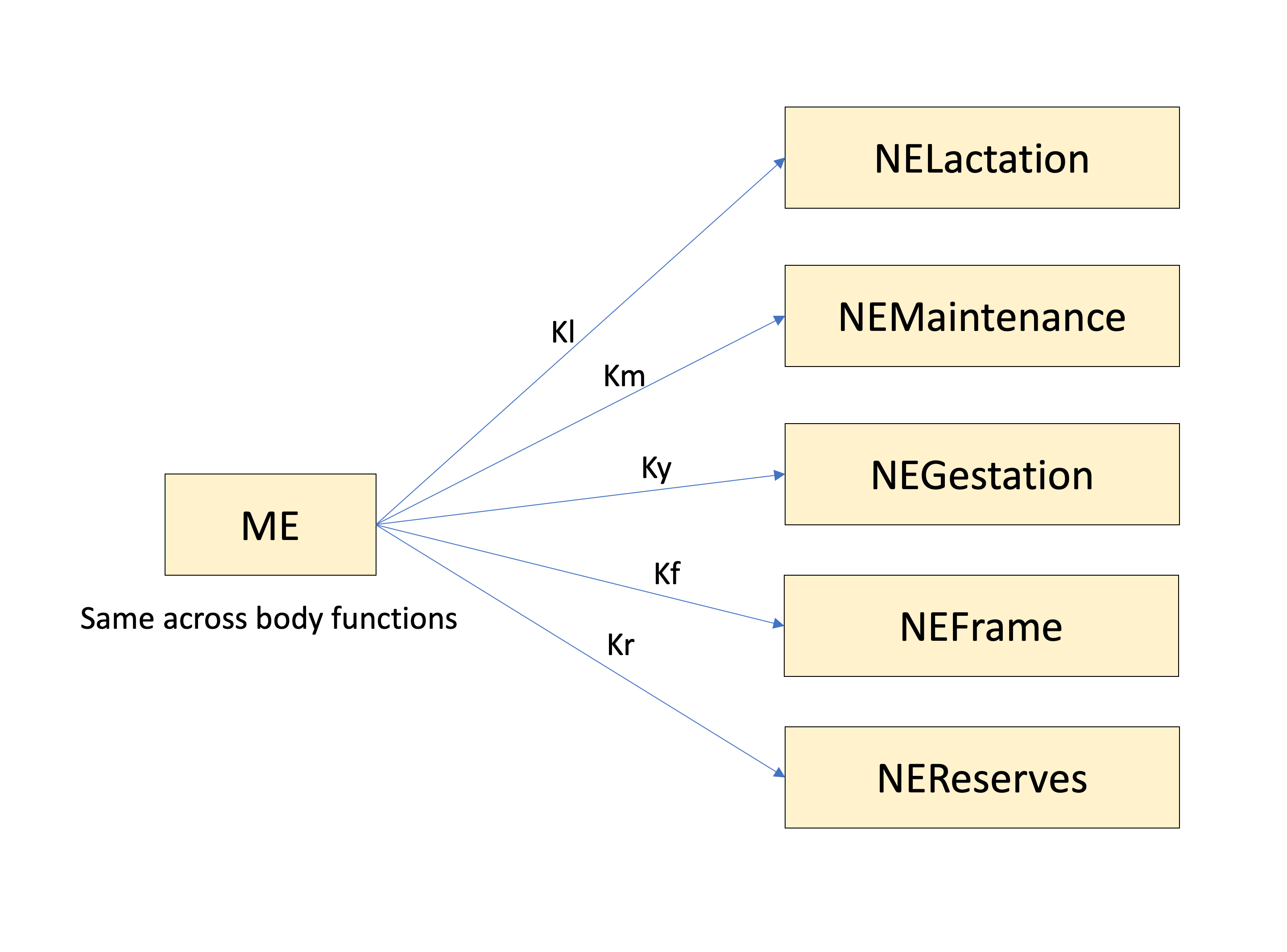 Diagram of ME, conversion efficiencies (K values) and NE for various body functions.