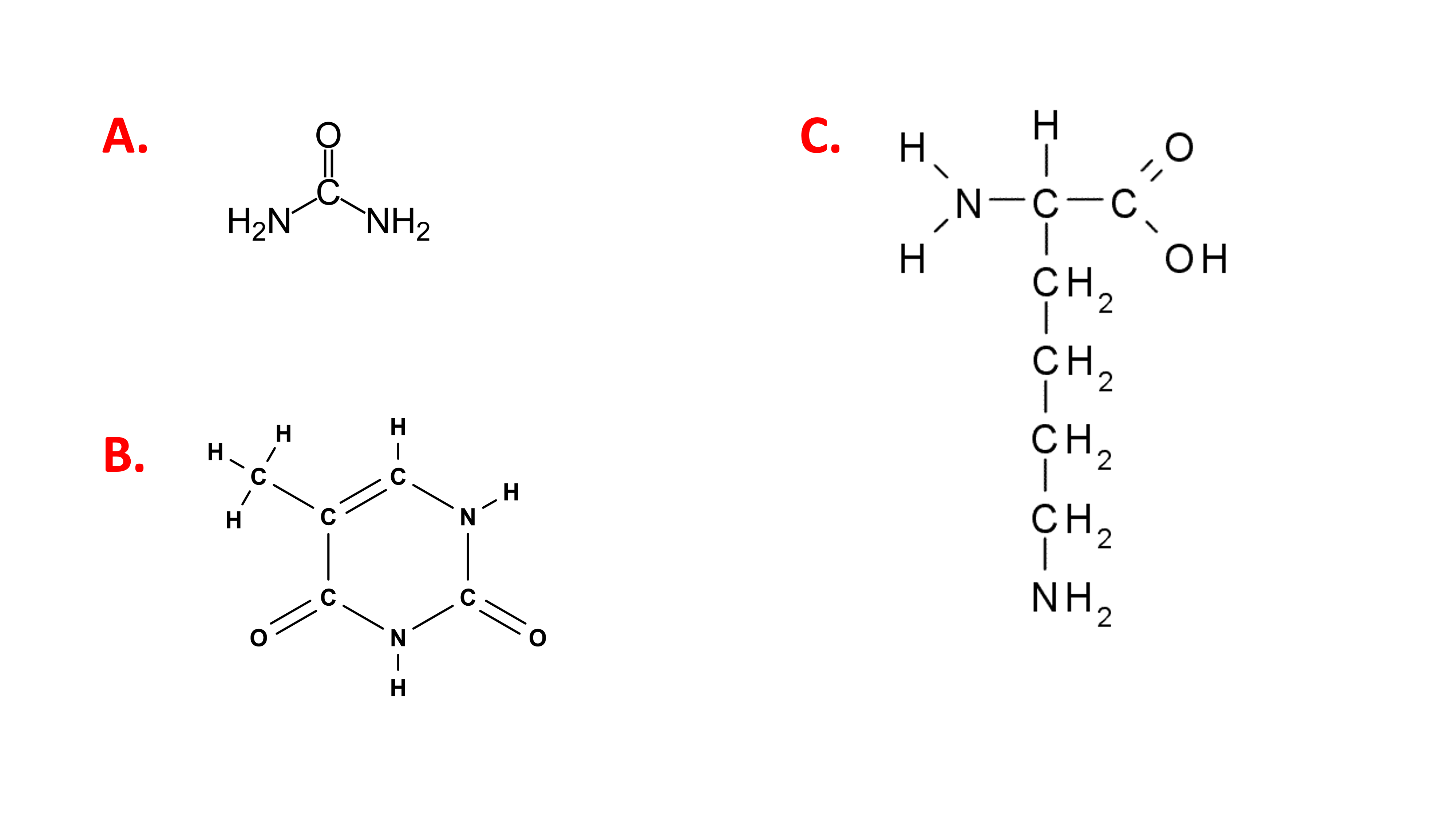 Examples of N-containing compounds that would be included in CP. A. Urea molecule, an example of NPN. B. Thymine, a nucleic acid which is NPN. C. Lysine, an AA which would be considered TP.