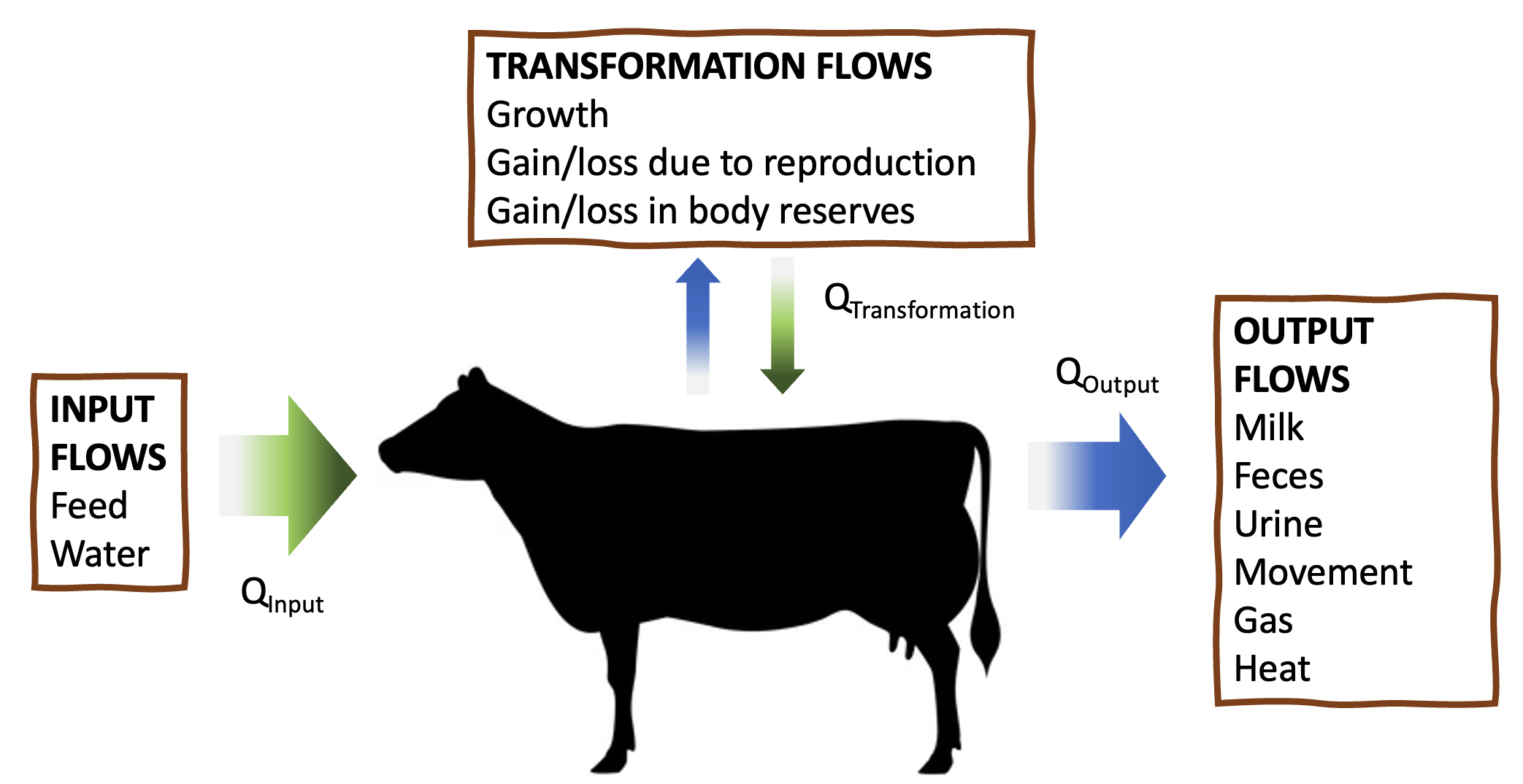 Representation of animal nutrition as a system, showing examples for each category of flows