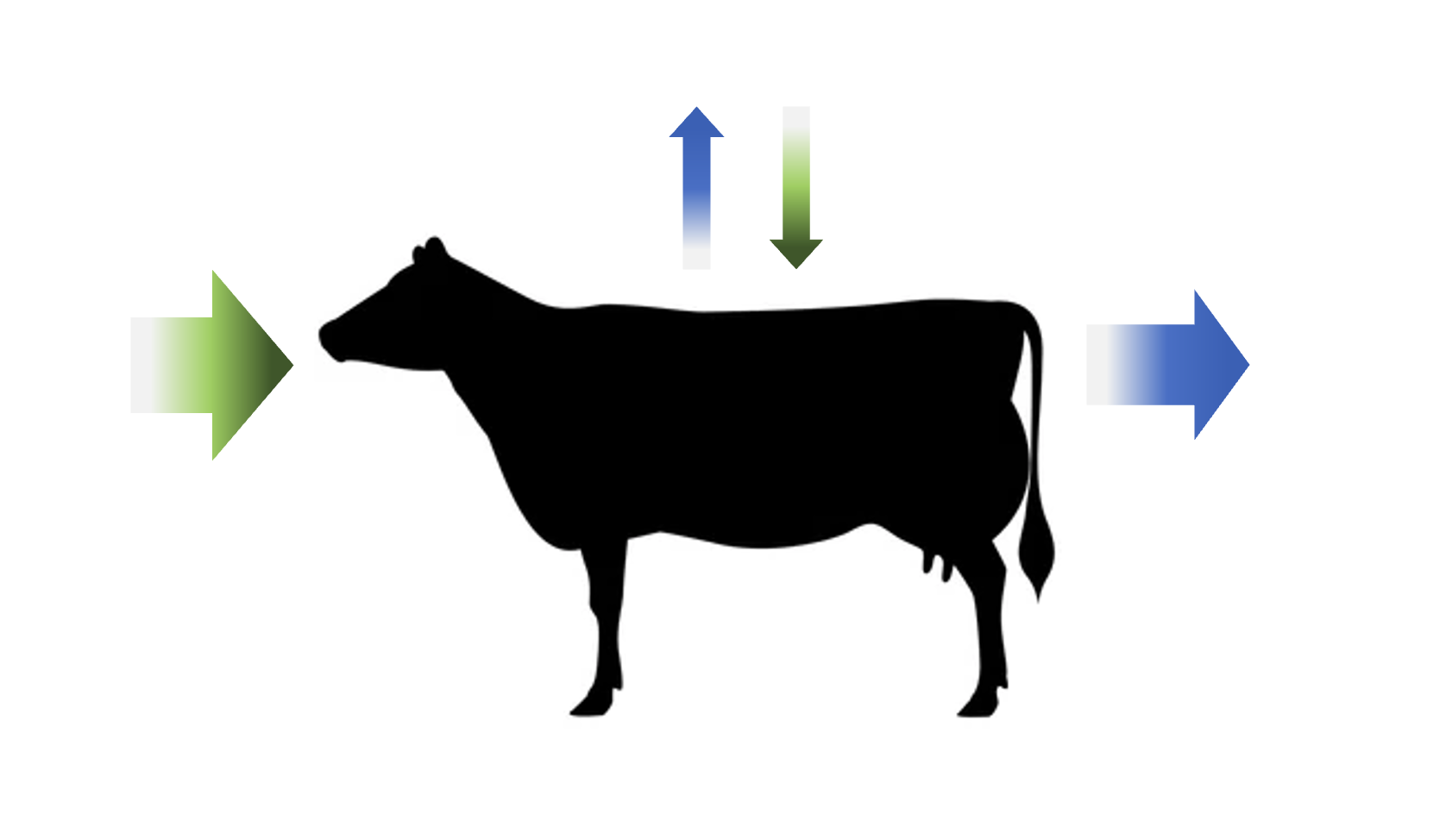 Simplified representation of animal nutrition as a system