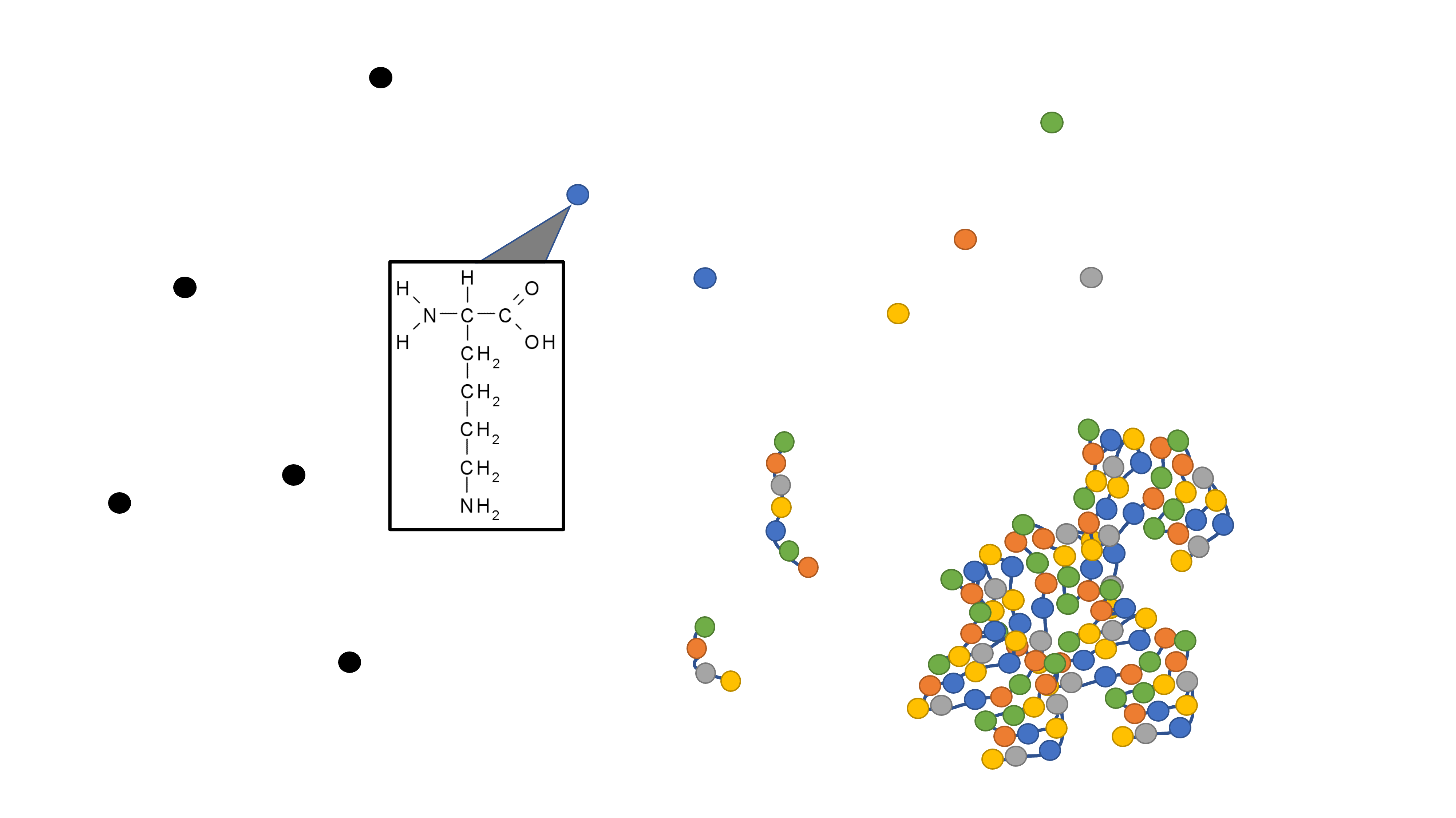 Crude protein includes nonprotein nitrogen (symbolized by black circles), and amino acid nitrogen (symbolized by multicolor circles), where the amino acid N can be arranged in various forms.