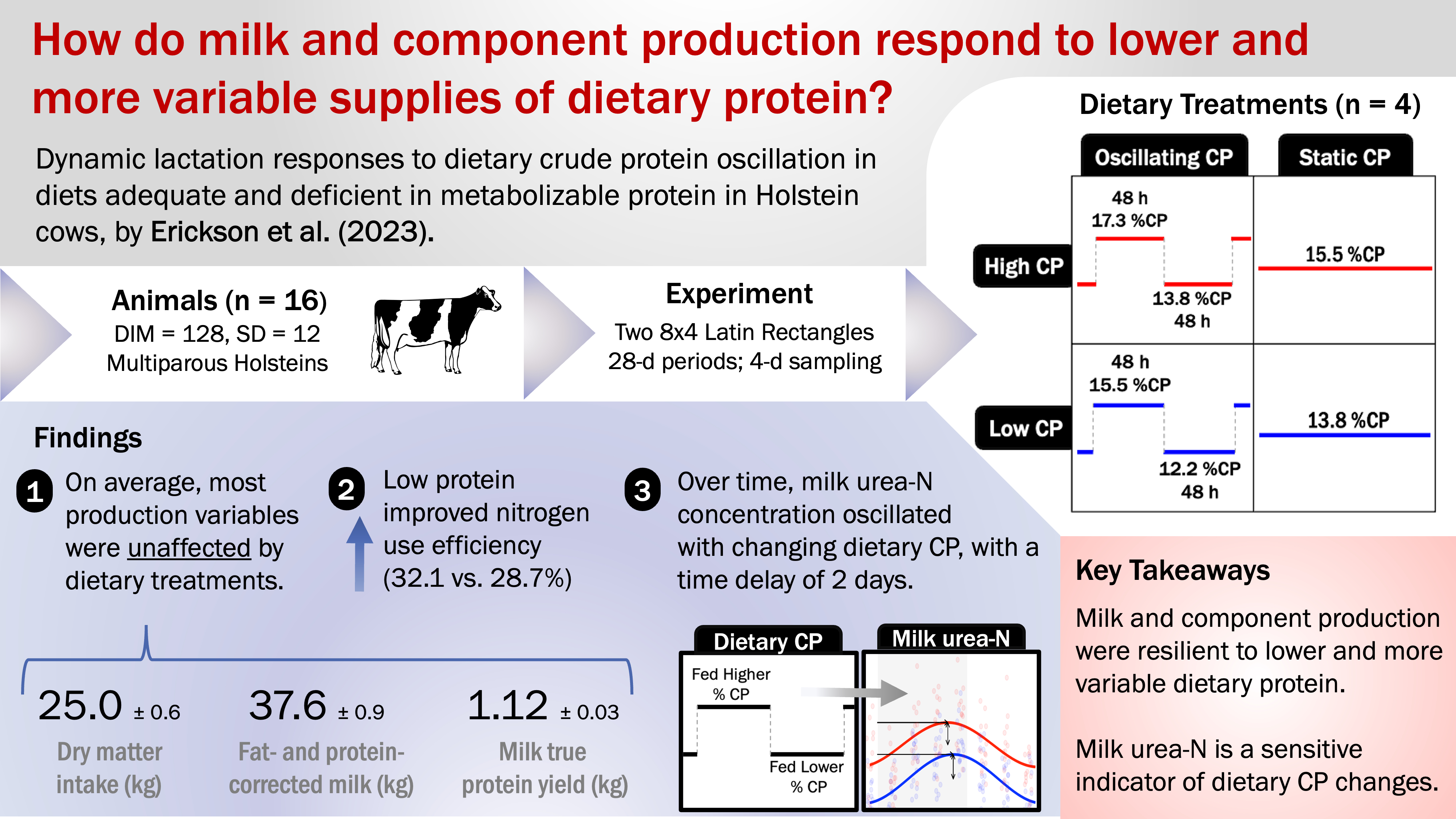 Graphical abstract: Dynamic lactation responses to dietary crude protein oscillation in diets adequate and deficient in metabolizable protein in Holstein cows